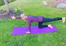 Mindful Movement Yoga on the Library Lawn