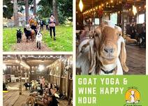 Original Goat Yoga & Goat Happy Hour Experience