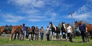 *TAPANUI* 1 Day Horsemanship Clinic