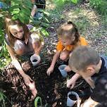 Explorers (3) Farm Day Camp