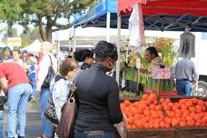 Bayfair Mall Farmers Market