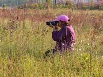 Garden Club Event to Feature CJ McCartney Talk on Butterflies, Pollinators and Native Plants