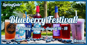 Blueberry Festival