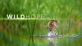 Wild Hope: Community Screening & Discussion with Buffalo Toronto Public Media