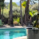 Campovida Winery Summer Wednesdays: Lunch & Lounge by the Pool