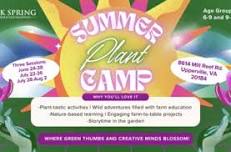 2024 Summer Plant Camp: Where Green Thumbs and Creative Minds Blossom!