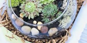 DIY Terrariums Workshop