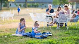 Summer Picnic