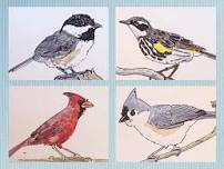 Drawing from Nature Class: Summer Songbirds