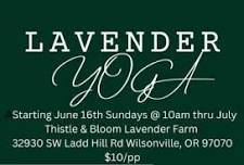 Yoga in the Lavender Fields with Shannon