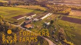 Farm Gate - Foragers Farms  — The Bulletin Cobourg