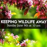 Keeping Wildlife Away