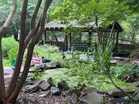 Summer Baltimore Breathwork at the Mount Washington Arboretum