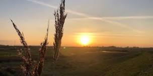 Wilder Kent Safari: History and Wildlife of Oare Marshes