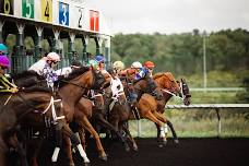 PA Bred Stakes @ Presque Isle Downs