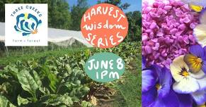 Harvest Wisdom Series #2: Three Creeks Farm