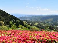 Himenosawa Park Flower Festival