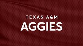 Arkansas Razorbacks at Texas A&M Aggies Baseball