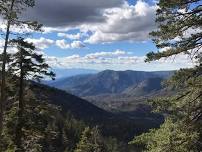 Anderson Peak (+four other 10k Peaks) starting at Forsee Creek Trail