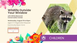 Wildlife Outside Your Window with White Memorial Conservation Center