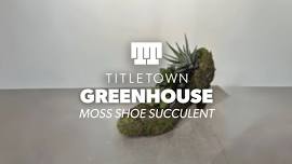 Titletown Greenhouse: Moss Shoe Succulent