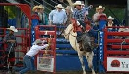 Steamboat Springs Pro Rodeo