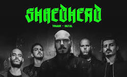 SHREDHEAD