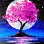 Magenta Moonlight