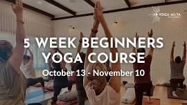 5 WEEK BEGINNERS YOGA COURSE — Yoga Māyā