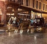 Horse Drawn Carriage Rides