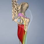 Walpole, ME: SCIATICA & DISC Issues, Aug 4, ’24PELVIS, HIP, & SACRUM, Aug 5 – 6, ’24