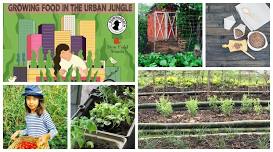 URBAN GARDENING WORKSHOP