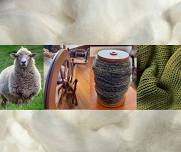 Wool Weekend