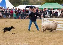 Mackenzie Highland A & P Show