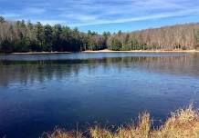 Meet, Greet, and Fly Fish: A Pond Gathering for Women Fly Fishers