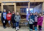 Winter Animal Camp