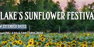 Blake's Sunflower Festival August 16th - 18th, 2024 — Bees in the D