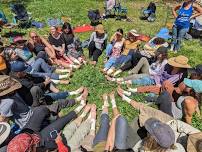 Colorado Wilderness Herbal First Aid Certification – Sept 13-15, 2024