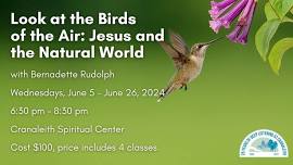 Look at the Birds of the Air: Jesus and the Natural World