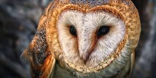 Glen Helen Raptor Center Story Time @ Lakeview Osgood Bank