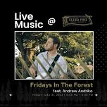 Fridays In The Forest, featuring Andrew Andriko