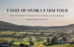 Taste of Ovoka Farm Tour: Calves & Cabernet with The Winery at Bull Run