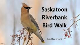 Saskatoon Riverbank Bird Walk 2024