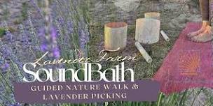 Sunset Lavender, Nature Awareness and Sound-bath Experience