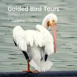 Guided Bird Tour - Third Sunday