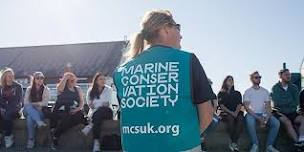 Dornoch Sands Beach Clean