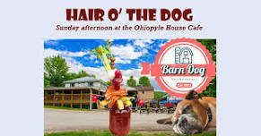 Barn Dog Philharmonic at the Ohiopyle House Cafe