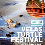 Turtle Festival