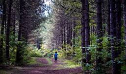 Ragnar Trail Vermont Relay