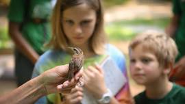 Explore with a Naturalist